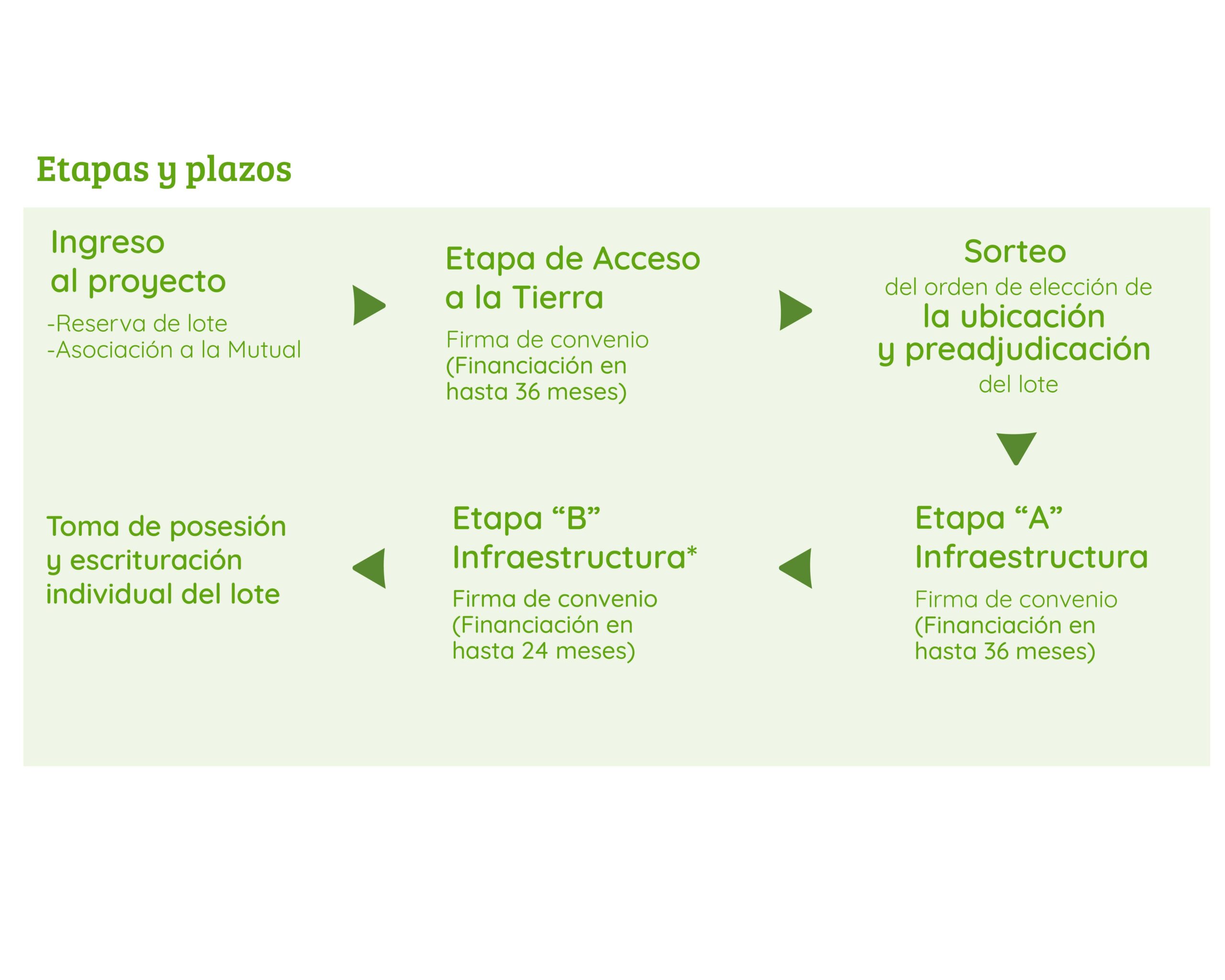 Etapas-y-plazos-ProHaS-3_Mesa-de-trabajo-1